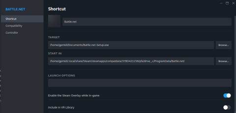 Example Bnet Config In Steam